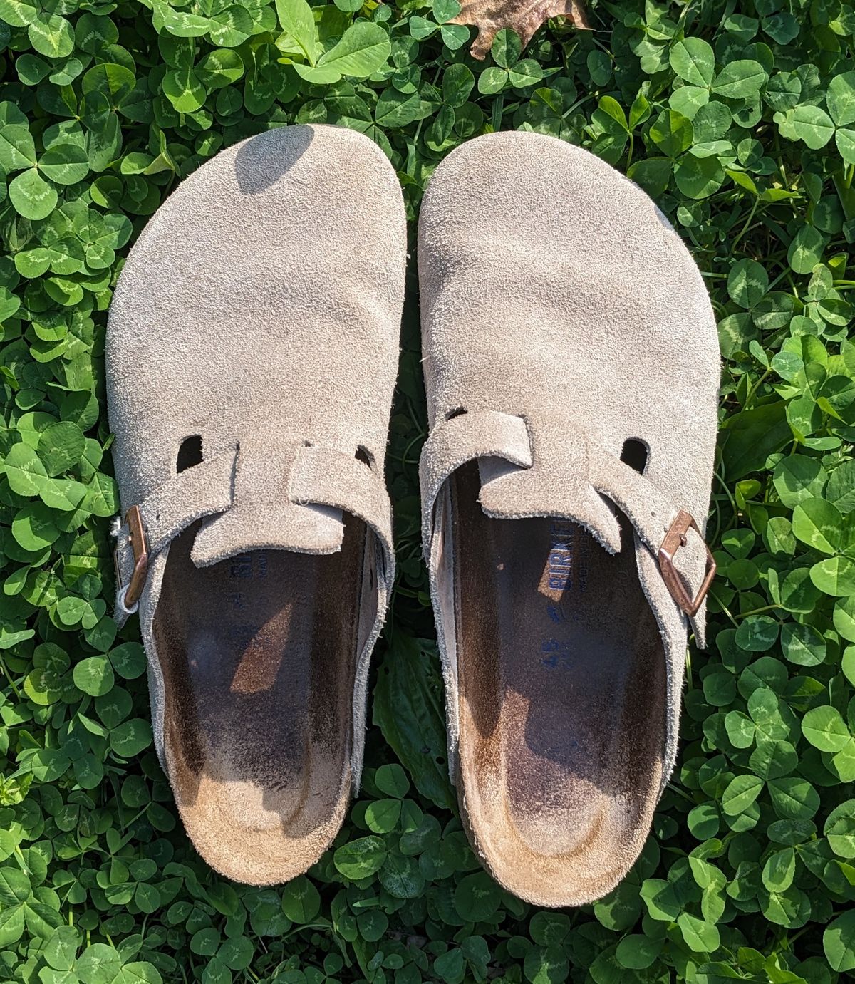 Photo by Lazy_Spread on April 5, 2024 of the Birkenstock Boston in Taupe Suede.