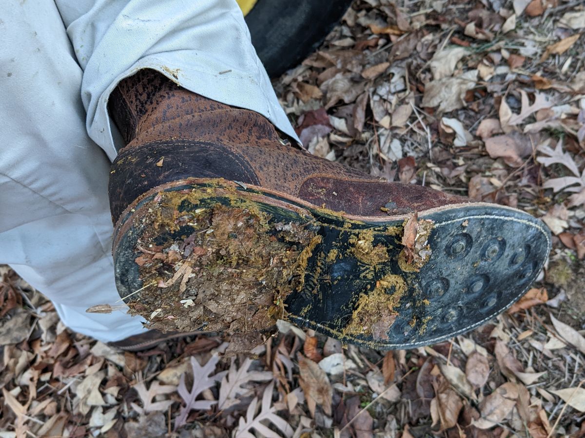 Photo by Lazy_Spread on November 18, 2022 of the Oak Street Bootmakers Trench Boot in Dark Waxy Wild Boar.