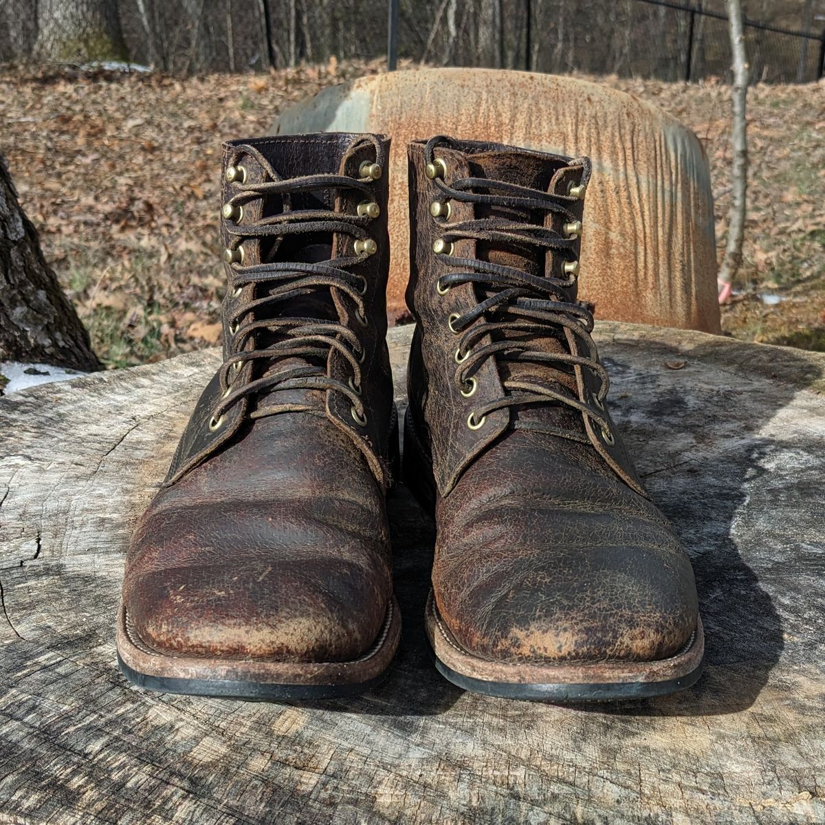 Photo by Lazy_Spread on February 5, 2023 of the Oak Street Bootmakers Trench Boot in Dark Waxy Wild Boar.