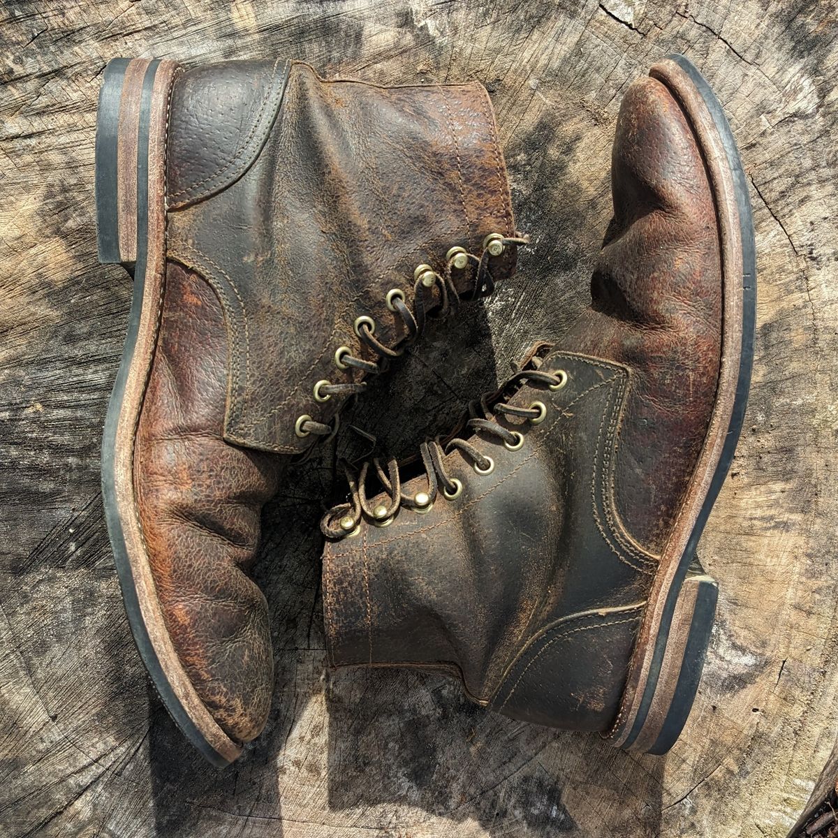 Photo by Lazy_Spread on February 5, 2023 of the Oak Street Bootmakers Trench Boot in Dark Waxy Wild Boar.