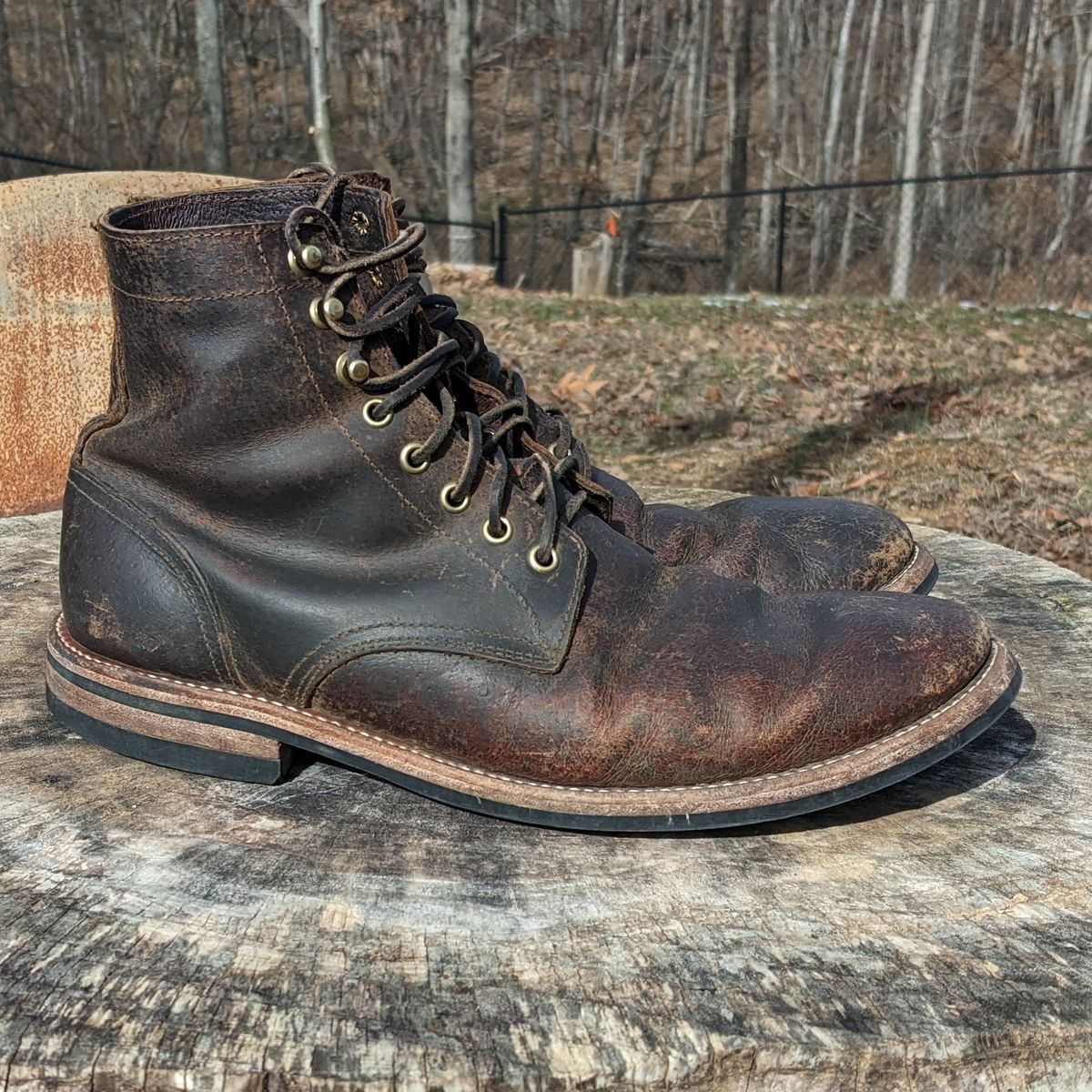 Photo by Lazy_Spread on February 5, 2023 of the Oak Street Bootmakers Trench Boot in Dark Waxy Wild Boar.