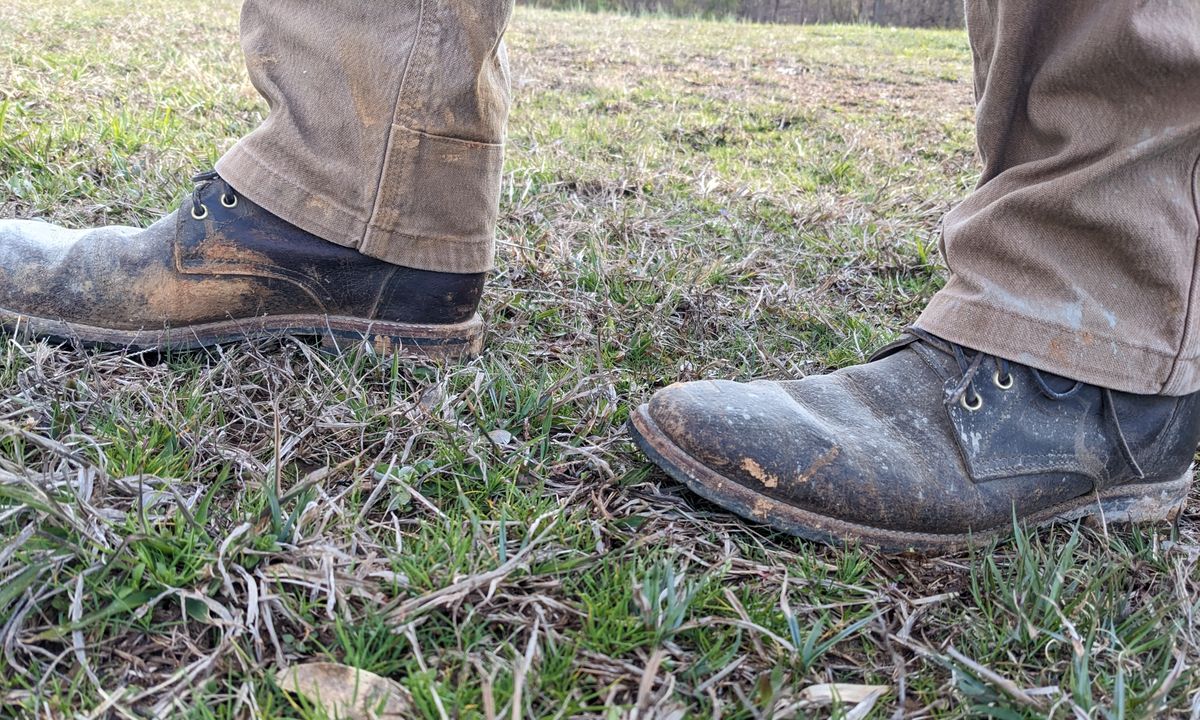 Photo by Lazy_Spread on March 18, 2023 of the Oak Street Bootmakers Trench Boot in Dark Waxy Wild Boar.