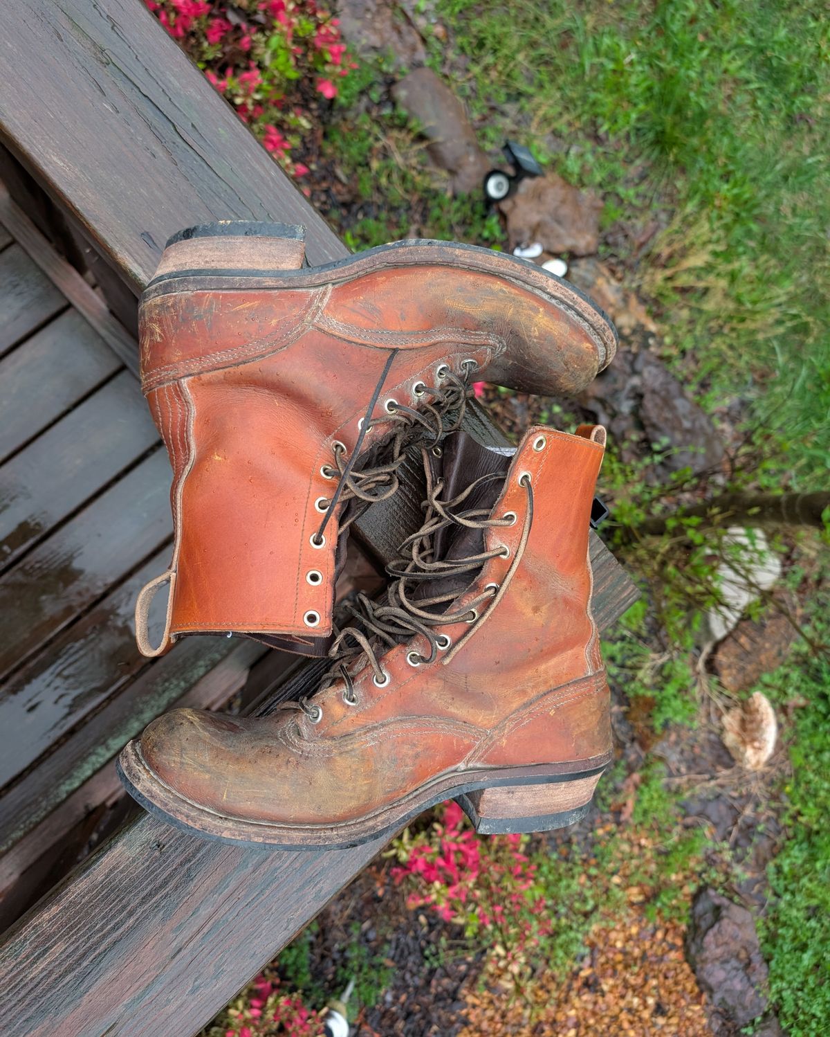 Photo by Lazy_Spread on April 5, 2025 of the Nicks Lace To Toe in Wickett & Craig Mojave Double Stuffed.