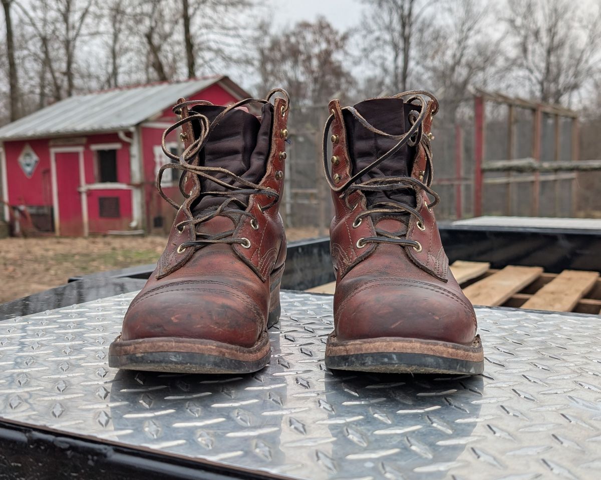 Photo by Lazy_Spread on December 3, 2025 of the Nicks MTO in Wickett & Craig Tan Oiled Latigo.