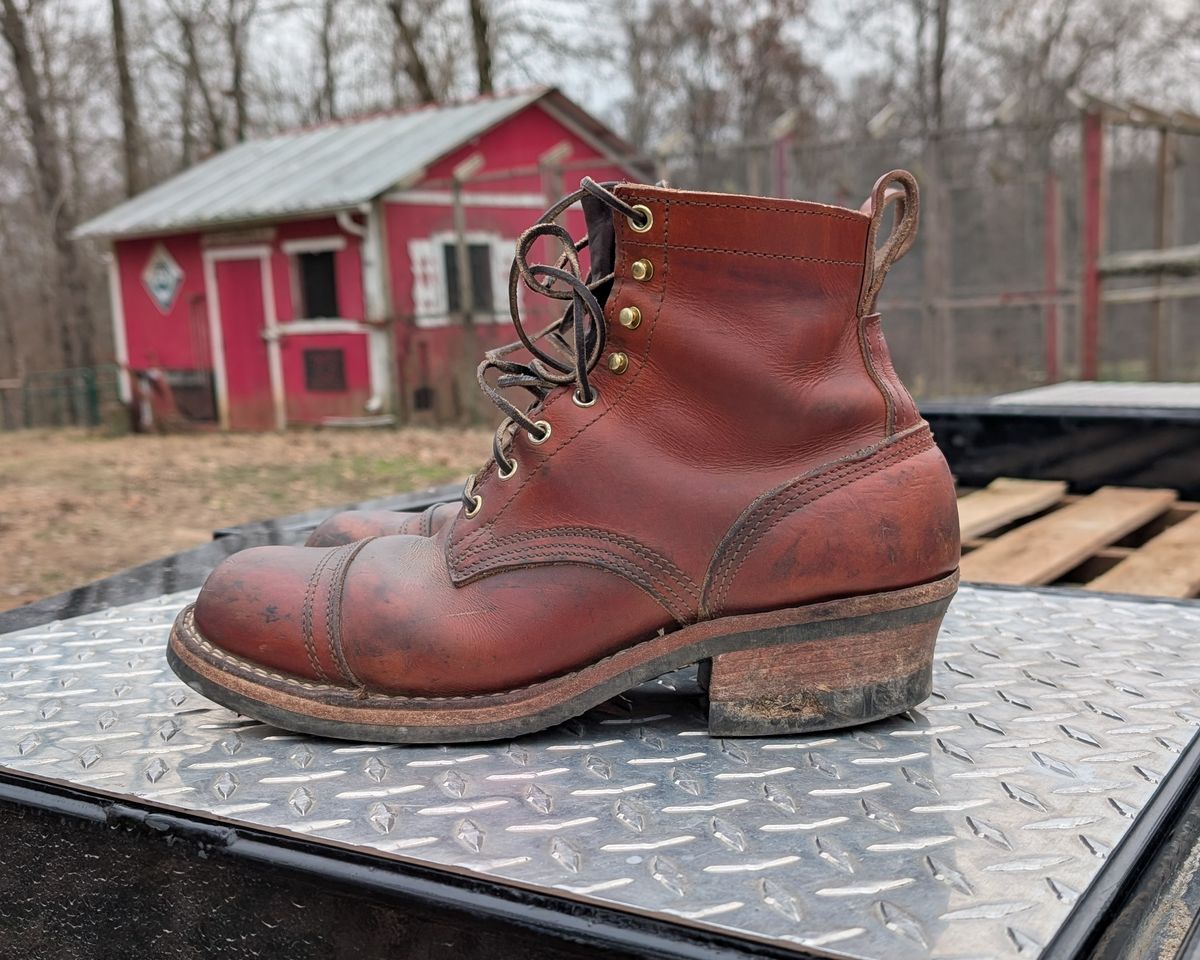 Photo by Lazy_Spread on December 3, 2025 of the Nicks MTO in Wickett & Craig Tan Oiled Latigo.