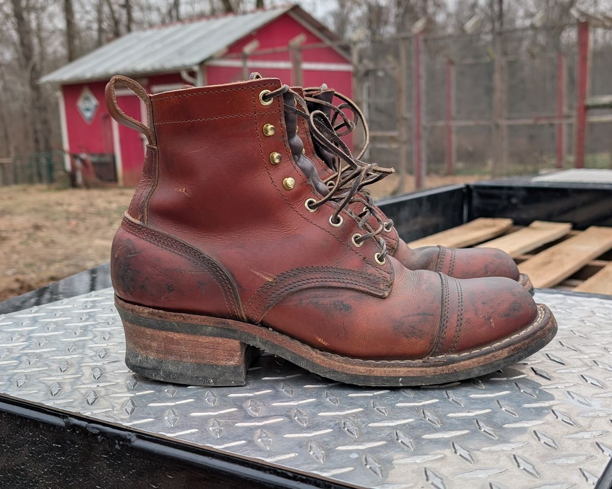 Photo by Lazy_Spread on December 3, 2025 of the Nicks MTO in Wickett & Craig Tan Oiled Latigo.