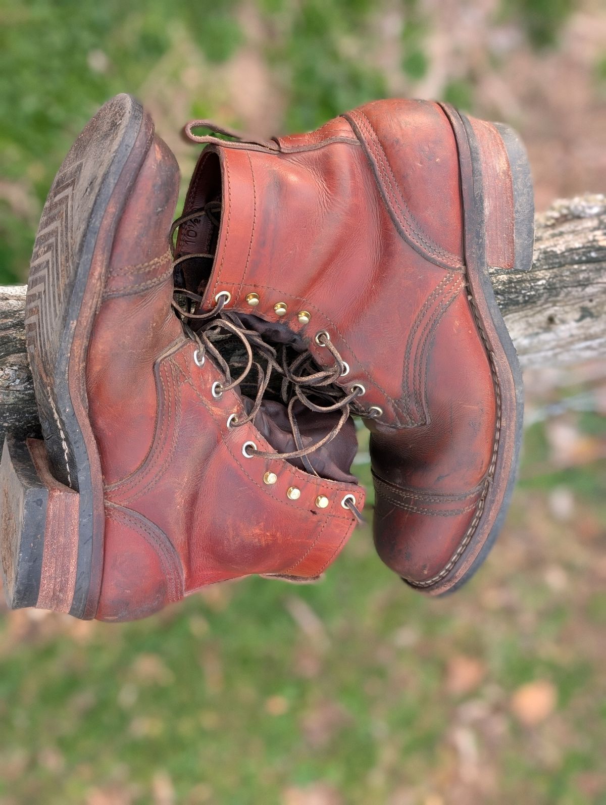 Photo by Lazy_Spread on March 5, 2026 of the Nicks MTO in Wickett & Craig Tan Oiled Latigo.