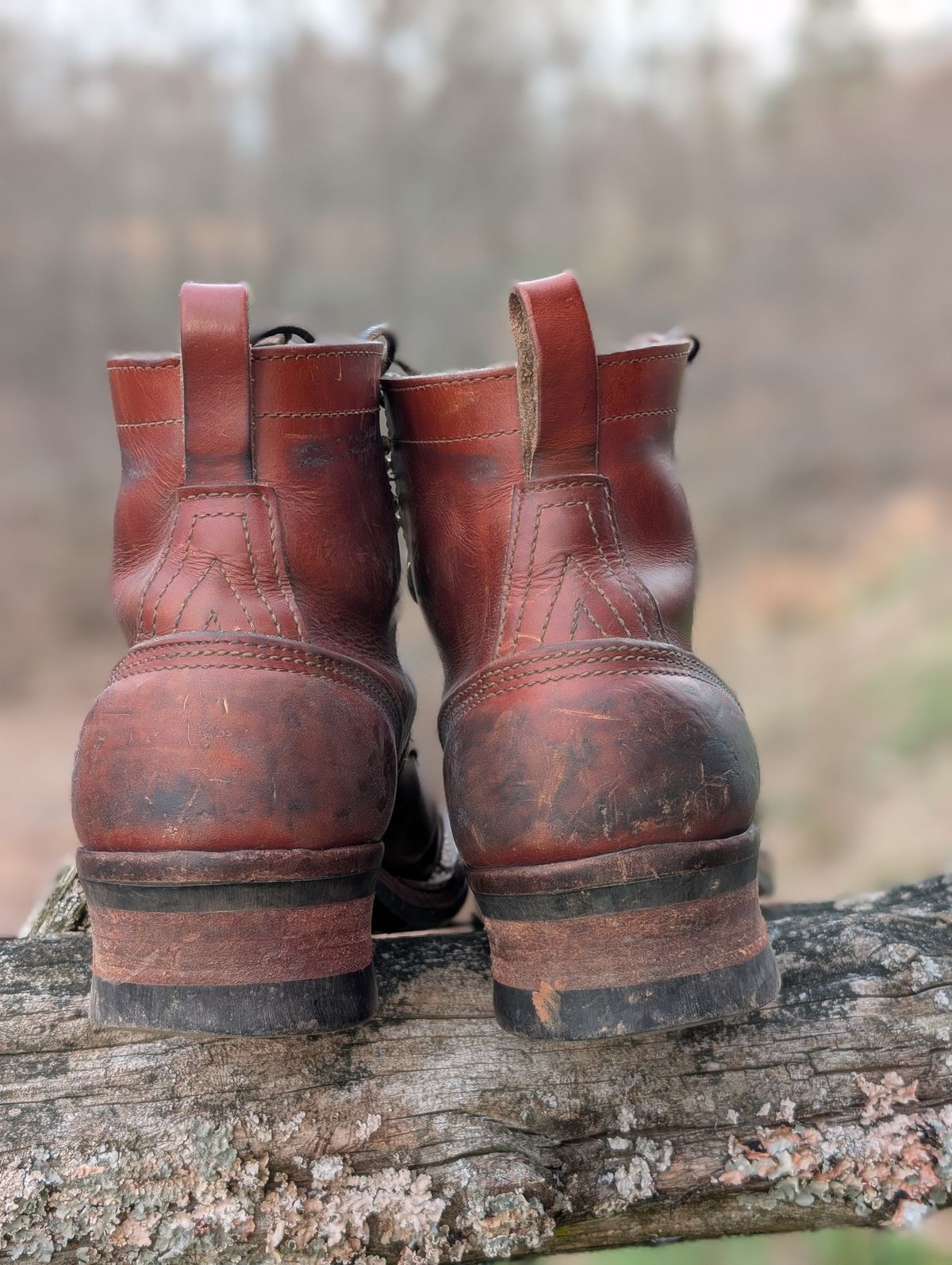 Photo by Lazy_Spread on March 5, 2026 of the Nicks MTO in Wickett & Craig Tan Oiled Latigo.