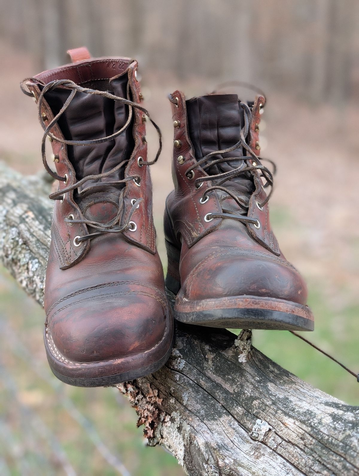 Photo by Lazy_Spread on March 5, 2026 of the Nicks MTO in Wickett & Craig Tan Oiled Latigo.