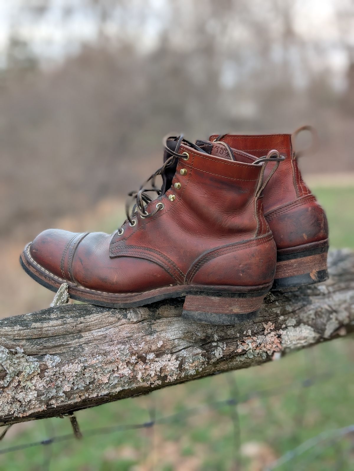 Photo by Lazy_Spread on March 5, 2026 of the Nicks MTO in Wickett & Craig Tan Oiled Latigo.