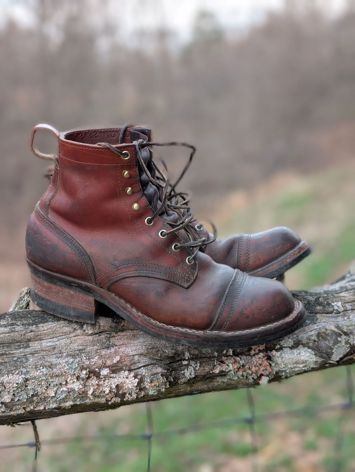 Photo by Lazy_Spread on March 5, 2026 of the Nicks MTO in Wickett & Craig Tan Oiled Latigo.