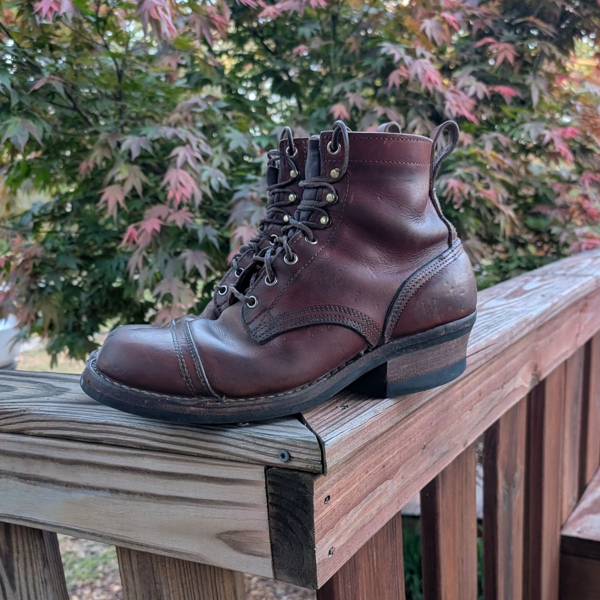 Photo by Lazy_Spread on April 5, 2026 of the Nicks MTO in Wickett & Craig Tan Oiled Latigo.