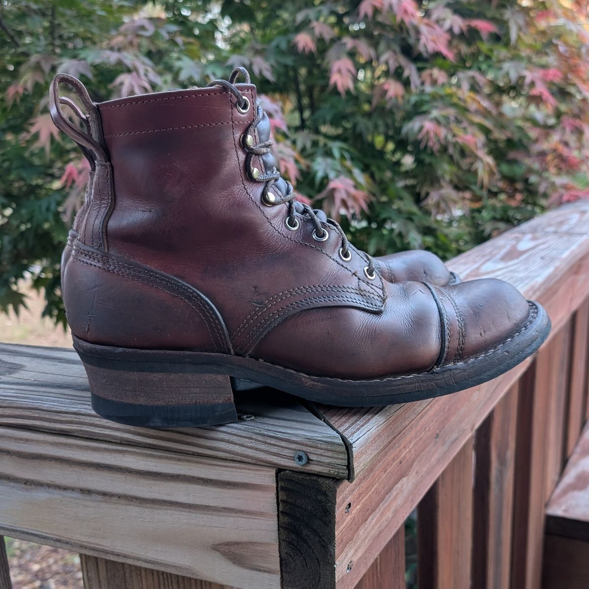 Photo by Lazy_Spread on April 5, 2026 of the Nicks MTO in Wickett & Craig Tan Oiled Latigo.