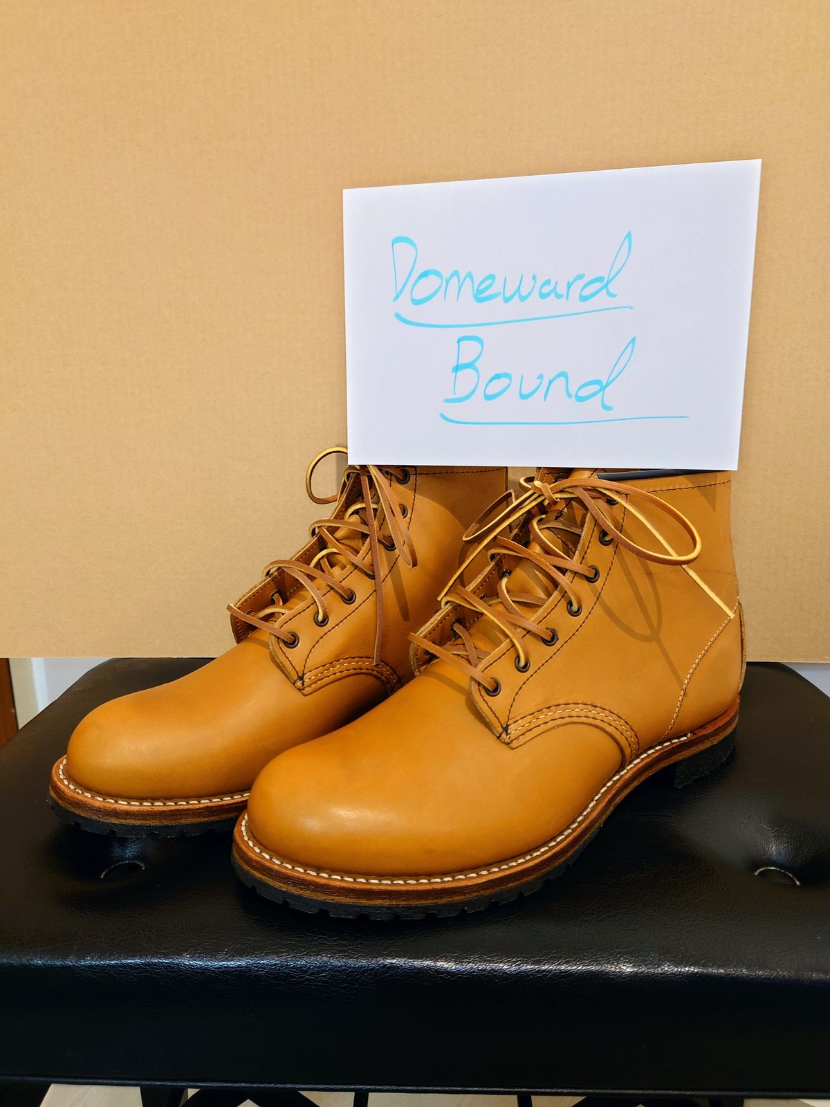 Photo by AzureSnow on October 1, 2023 of the Red Wing Beckman in S.B. Foot Chestnut Featherstone.