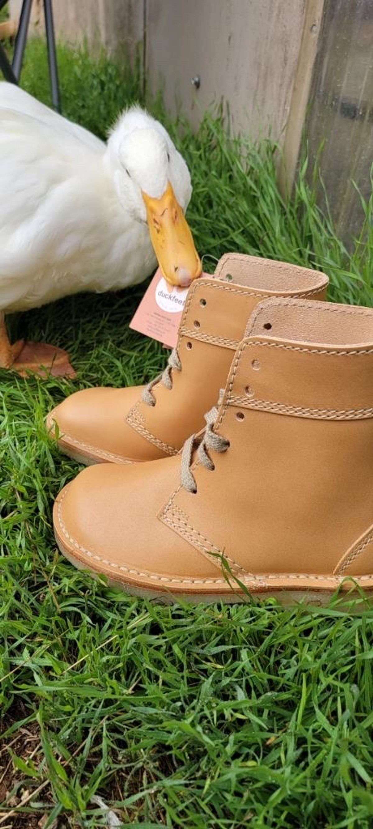 Photo by tpm636 on October 2, 2023 of the Duckfeet Faborg in Terracare Bio.