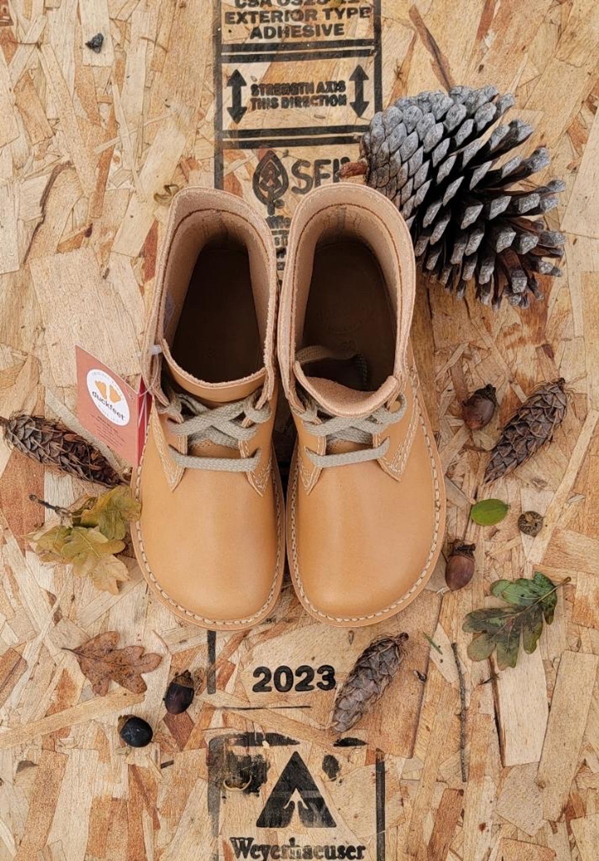 Photo by tpm636 on October 2, 2023 of the Duckfeet Faborg in Terracare Bio.