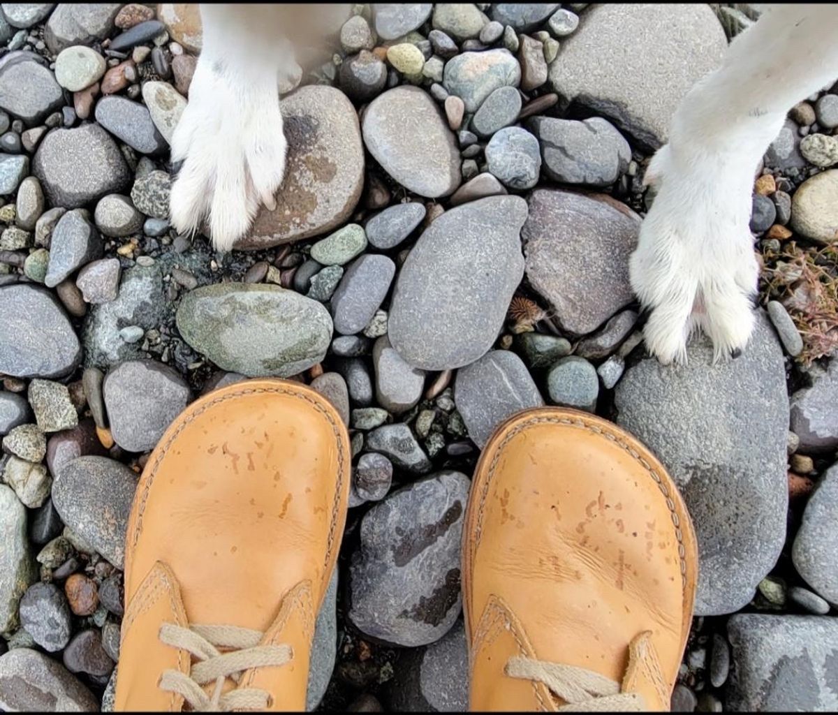 Photo by tpm636 on October 28, 2023 of the Duckfeet Faborg in Terracare Bio.