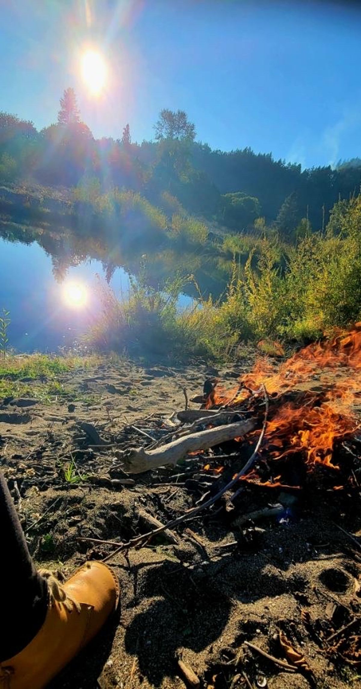 Photo by tpm636 on October 30, 2023 of the Duckfeet Faborg in Terracare Bio.