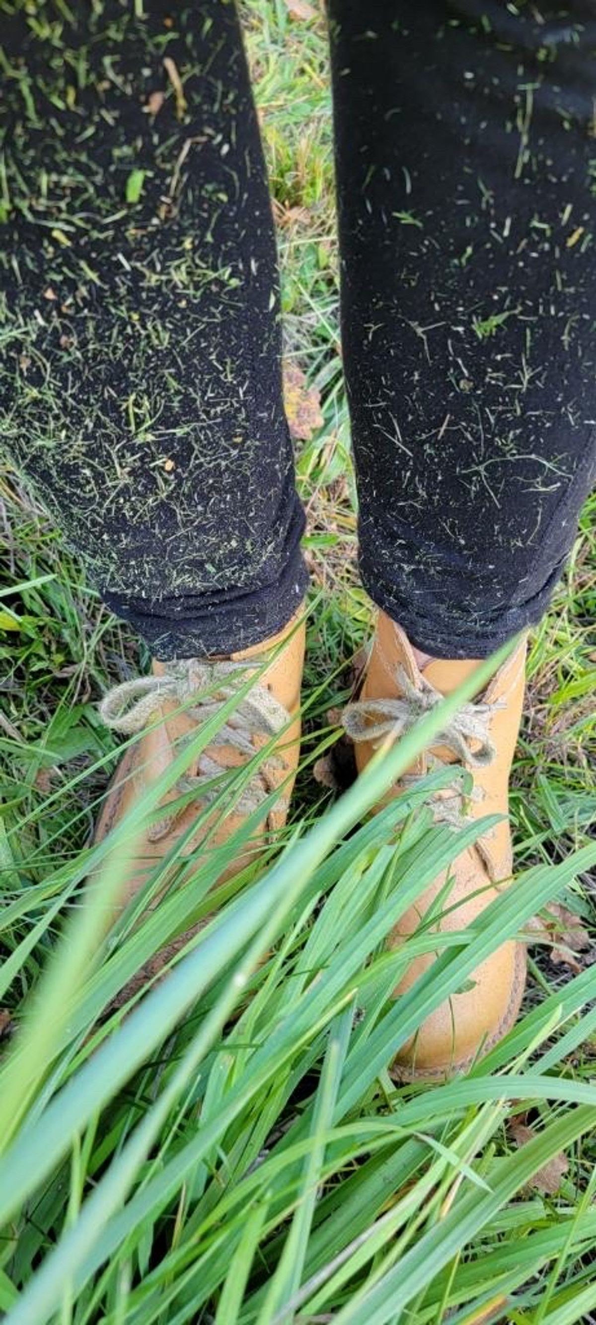 Photo by tpm636 on October 31, 2023 of the Duckfeet Faborg in Terracare Bio.