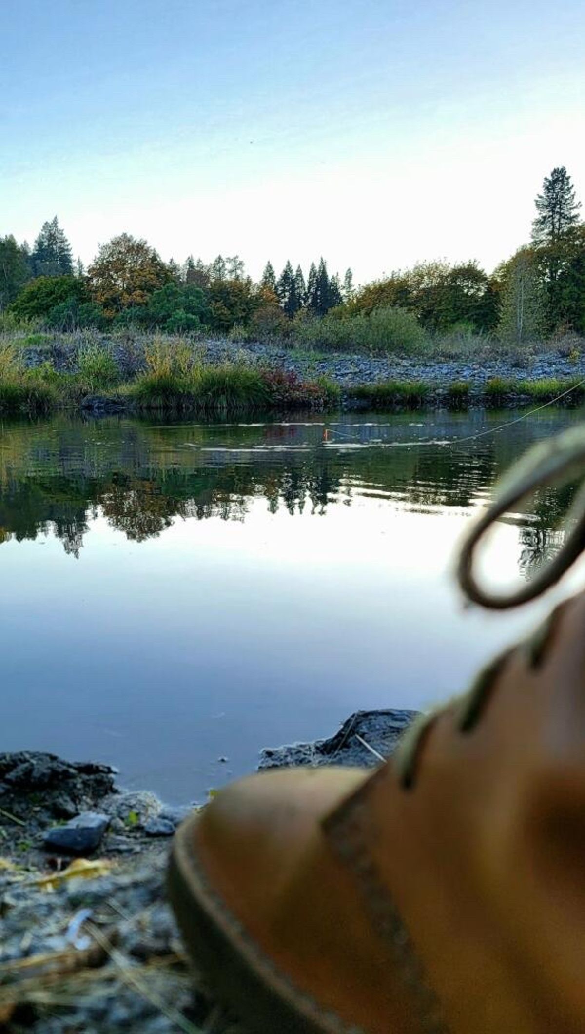 Photo by tpm636 on October 31, 2023 of the Duckfeet Faborg in Terracare Bio.