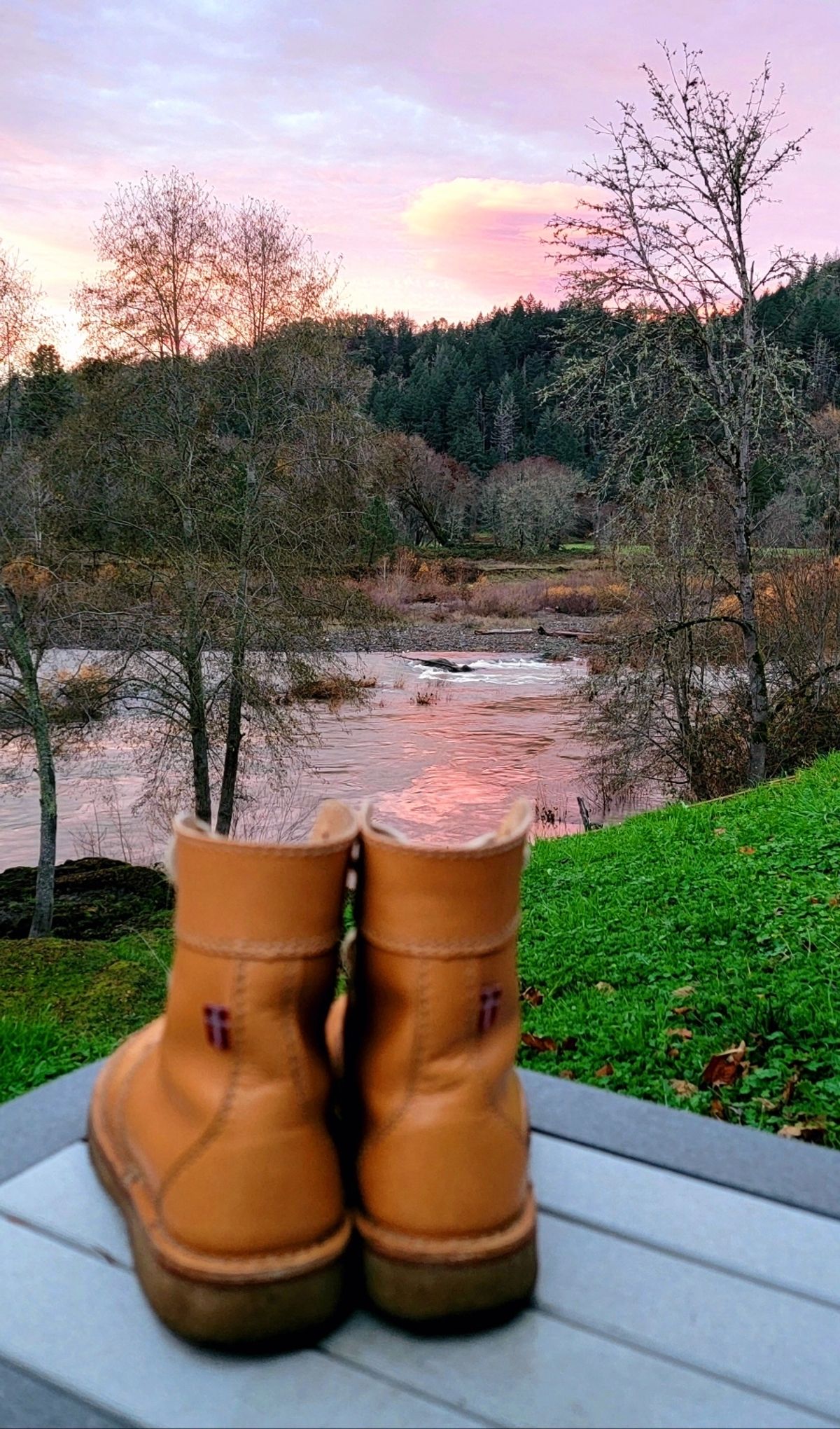 Photo by tpm636 on December 6, 2023 of the Duckfeet Faborg in Terracare Bio.