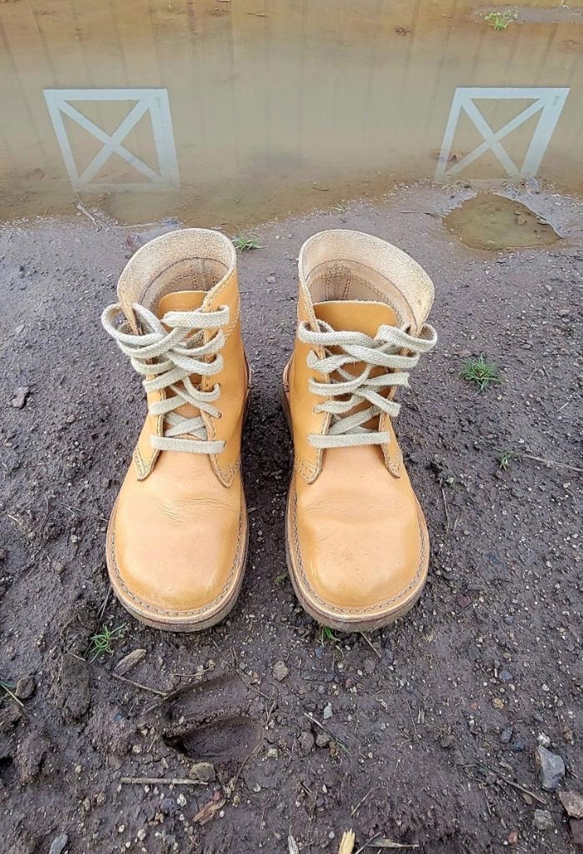 Photo by tpm636 on January 2, 2024 of the Duckfeet Faborg in Terracare Bio.