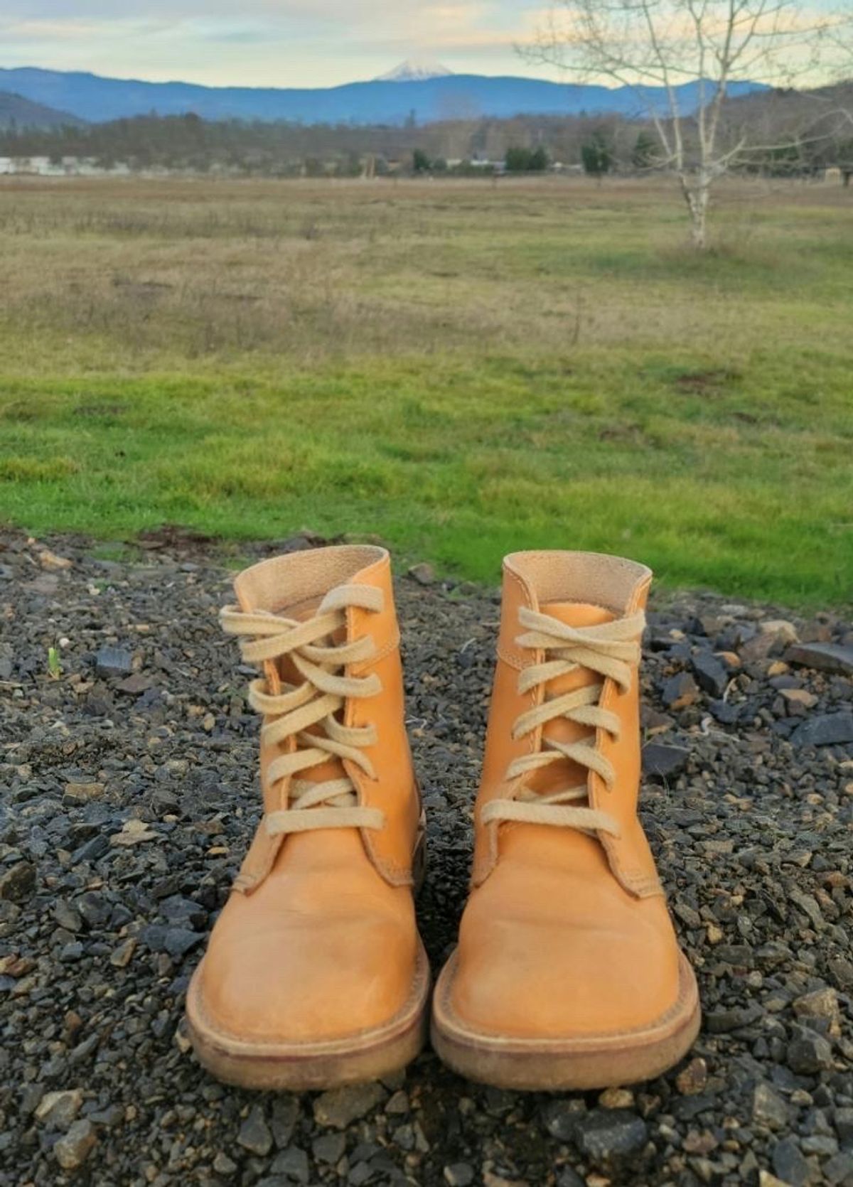 Photo by tpm636 on January 2, 2024 of the Duckfeet Faborg in Terracare Bio.