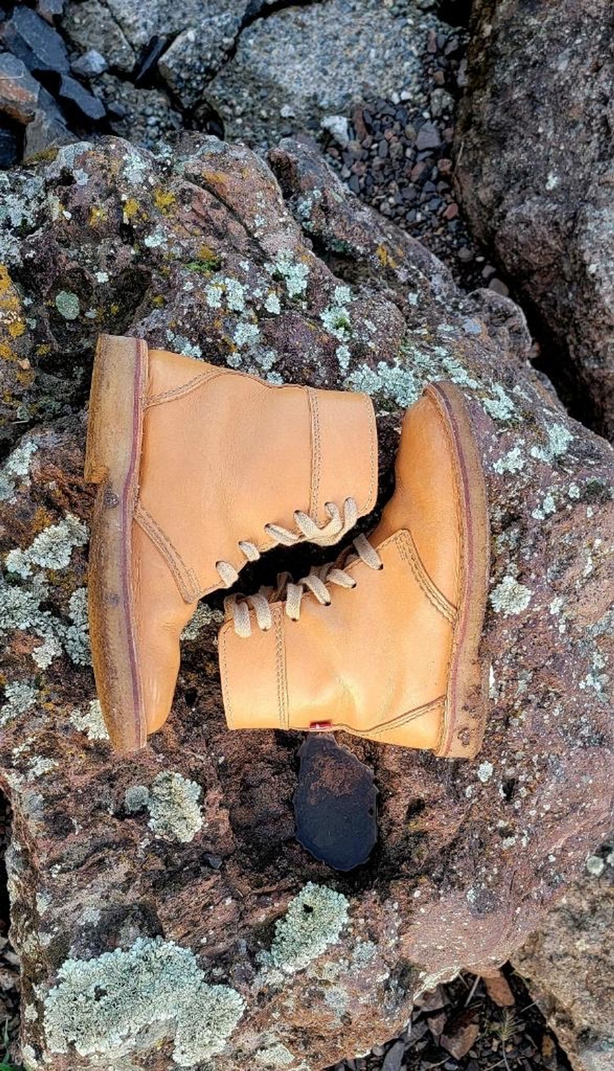 Photo by tpm636 on January 2, 2024 of the Duckfeet Faborg in Terracare Bio.
