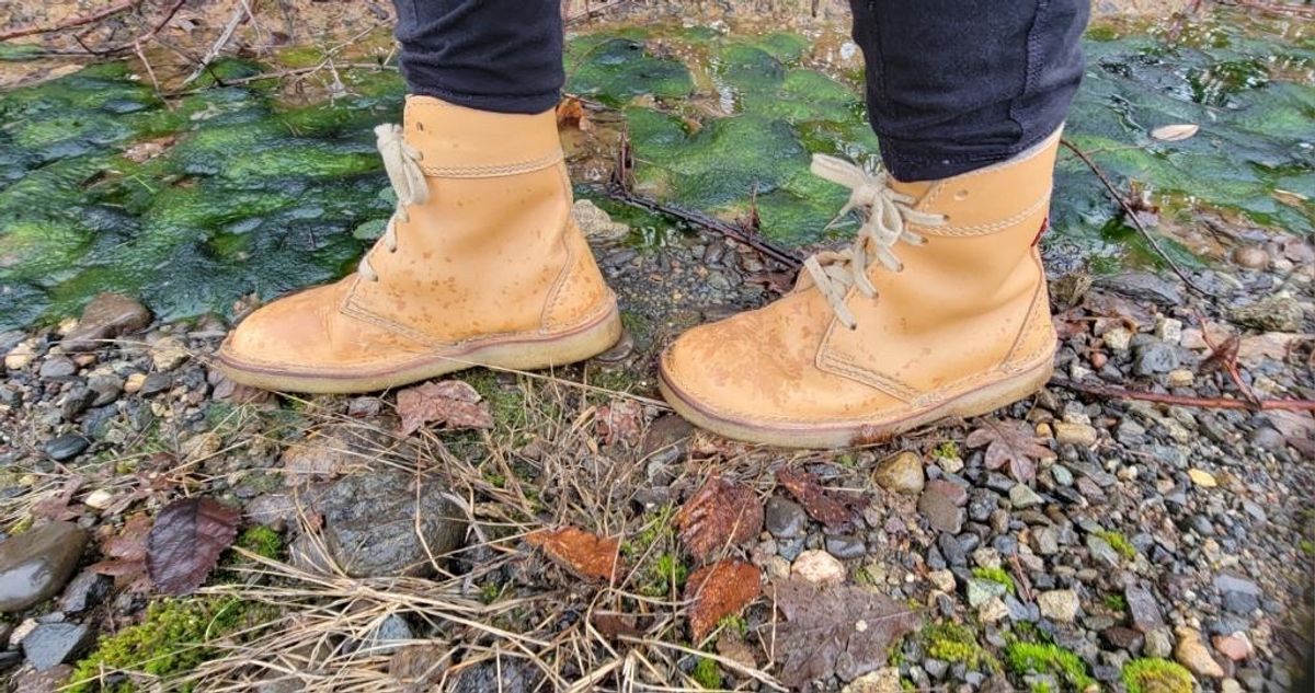 Photo by tpm636 on February 6, 2024 of the Duckfeet Faborg in Terracare Bio.