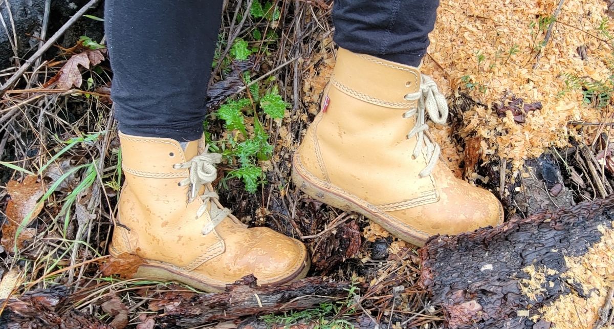 Photo by tpm636 on February 6, 2024 of the Duckfeet Faborg in Terracare Bio.