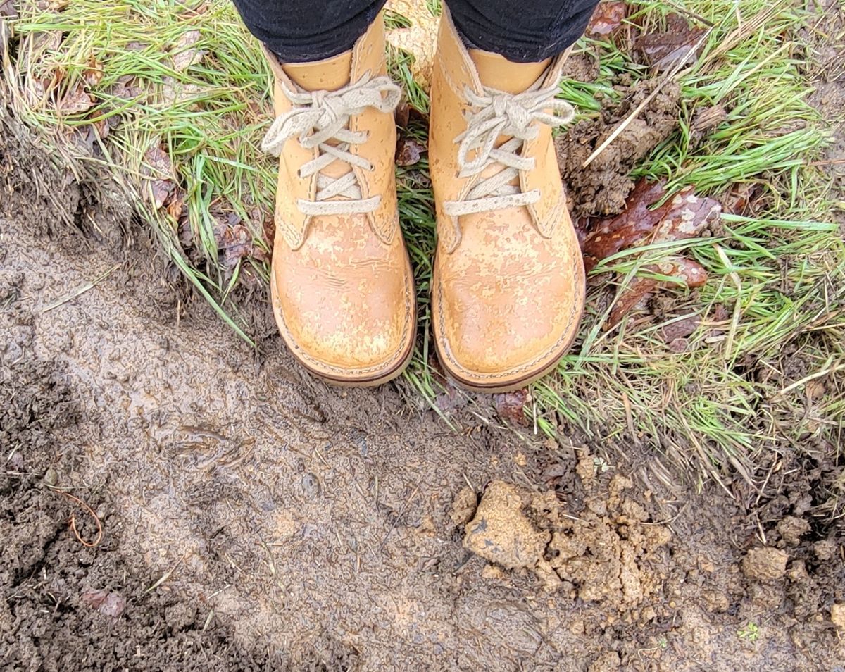 Photo by tpm636 on February 6, 2024 of the Duckfeet Faborg in Terracare Bio.