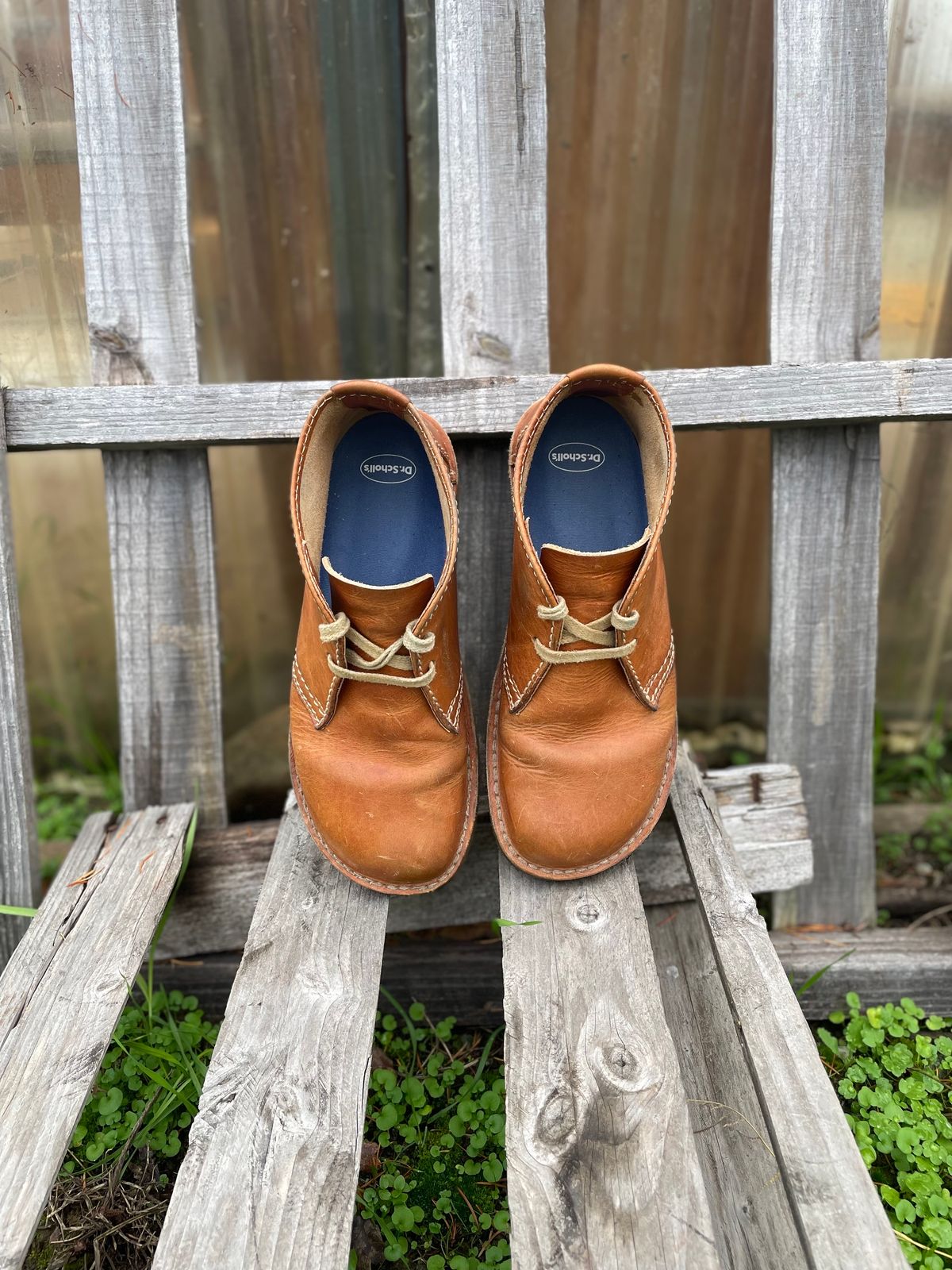 Photo by tpm636 on November 2, 2023 of the Duckfeet Sjaelland in Terracare Brown.