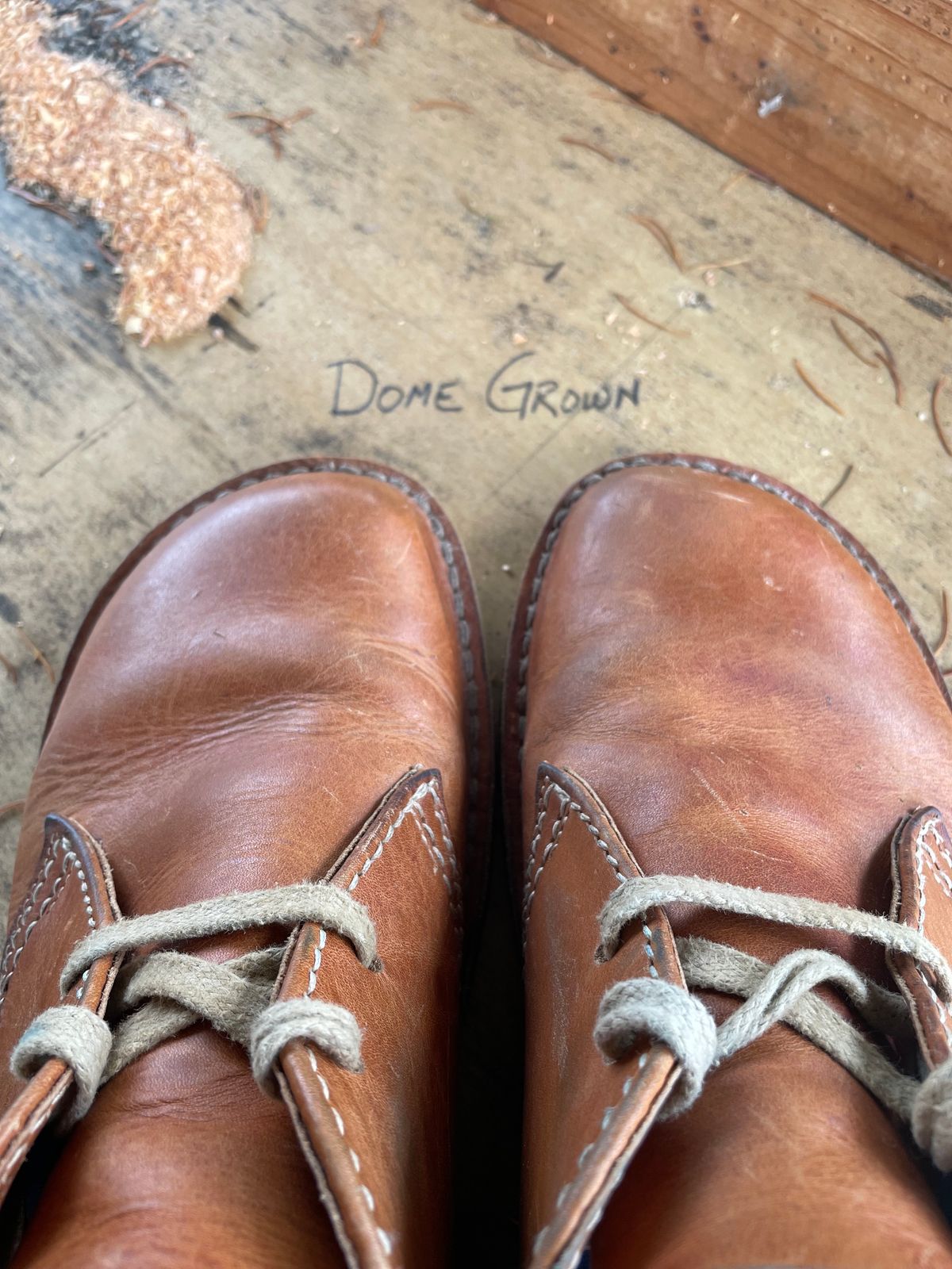 Photo by tpm636 on November 2, 2023 of the Duckfeet Sjaelland in Terracare Brown.