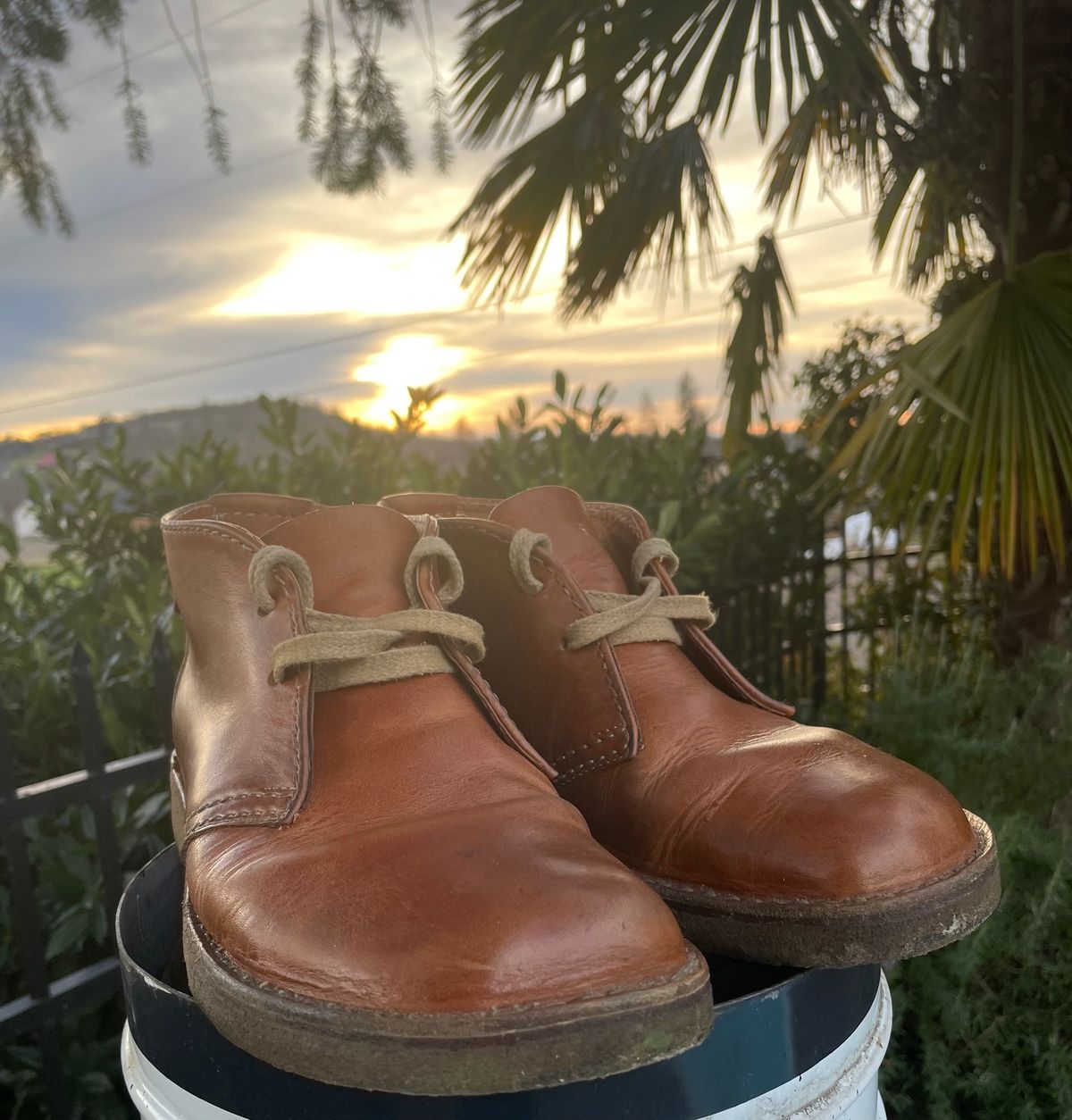 Photo by tpm636 on January 2, 2024 of the Duckfeet Sjaelland in Terracare Brown.