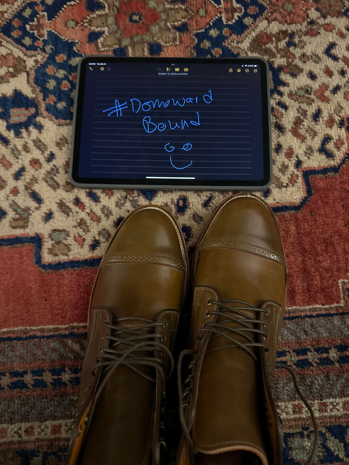 Photo by catchyname on October 12, 2023 of the Viberg Service Boot BCT in Horween Calvados Shell Cordovan.