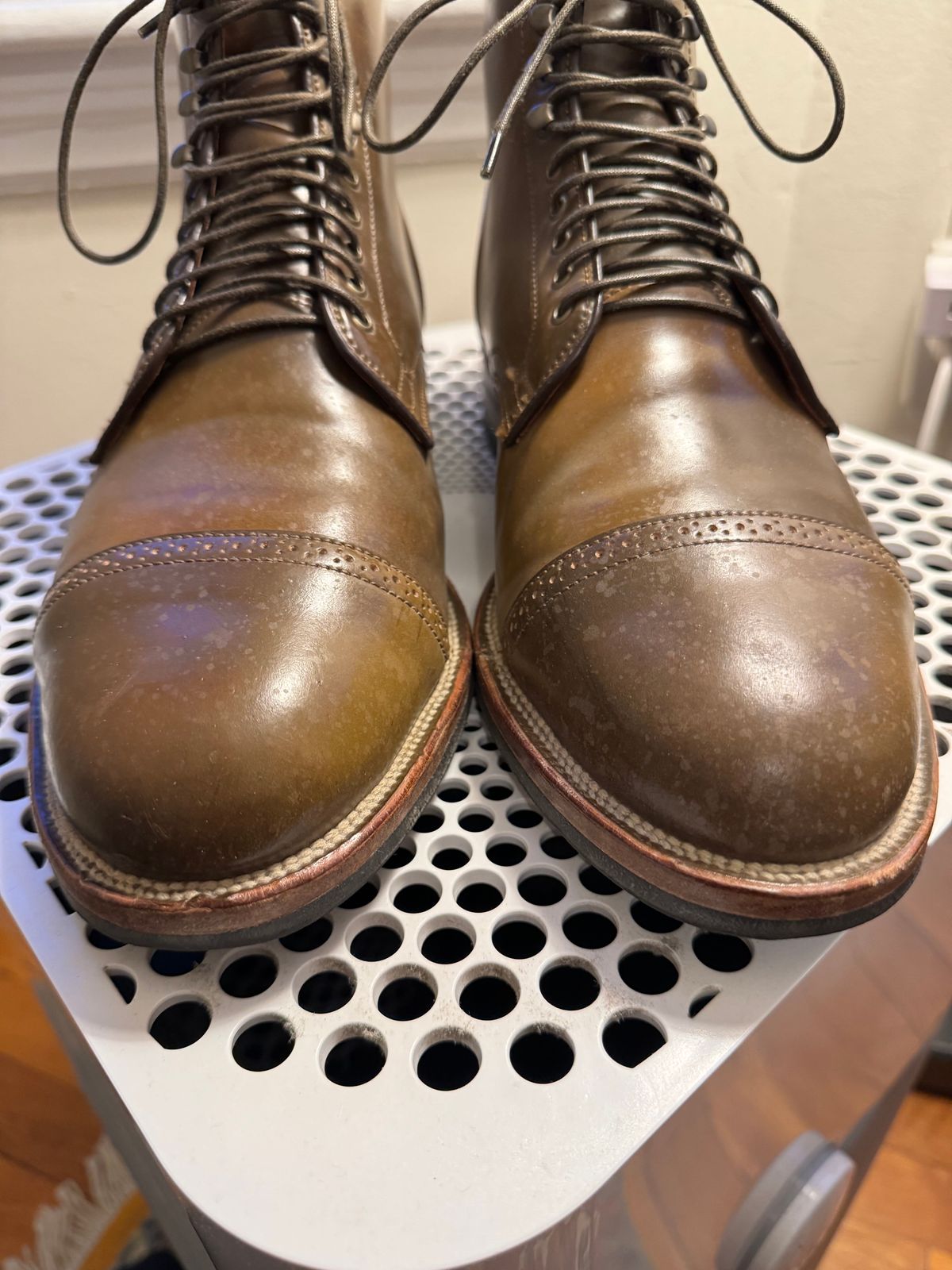 Photo by catchyname on December 3, 2023 of the Viberg Service Boot BCT in Horween Calvados Shell Cordovan.