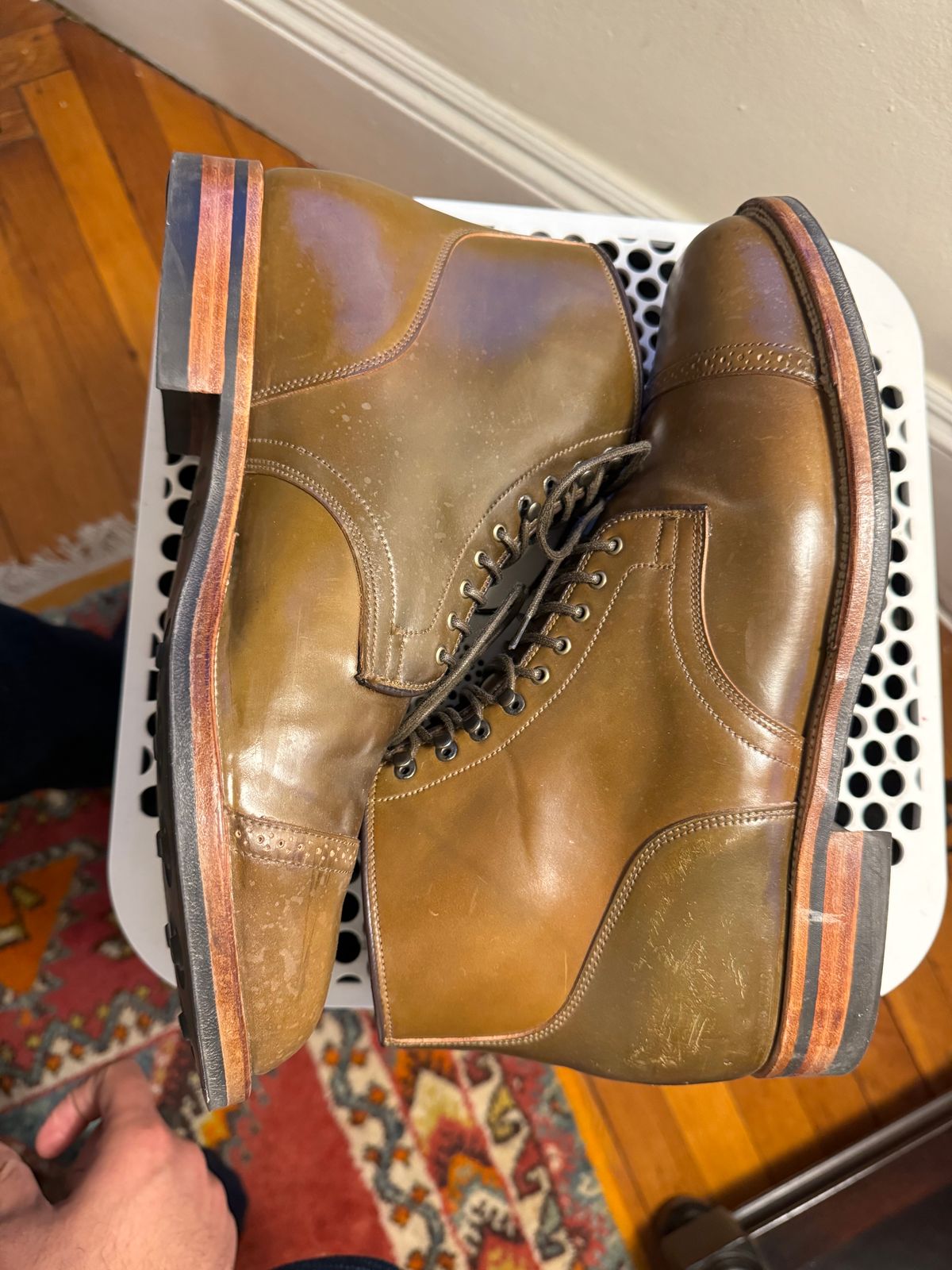 Photo by catchyname on December 3, 2023 of the Viberg Service Boot BCT in Horween Calvados Shell Cordovan.