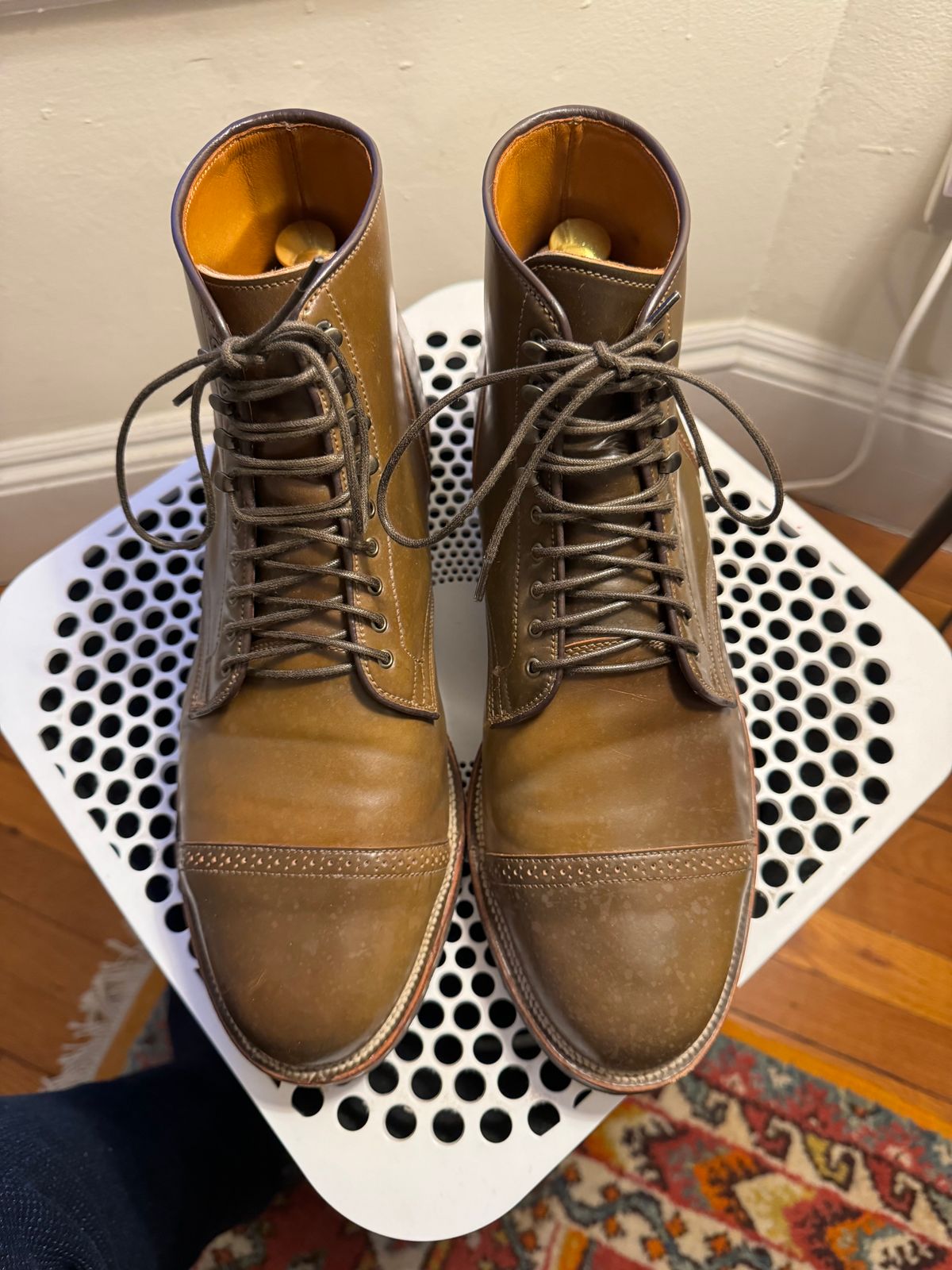 Photo by catchyname on December 3, 2023 of the Viberg Service Boot BCT in Horween Calvados Shell Cordovan.