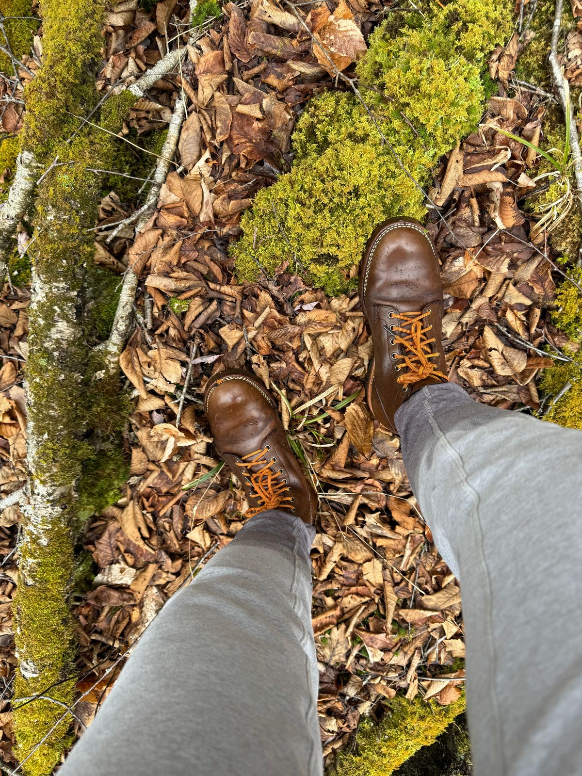 Photo by catchyname on April 21, 2024 of the Viberg Viberg x Notre ‘Coffee Pack’ in Horween Mocha Chromexcel.