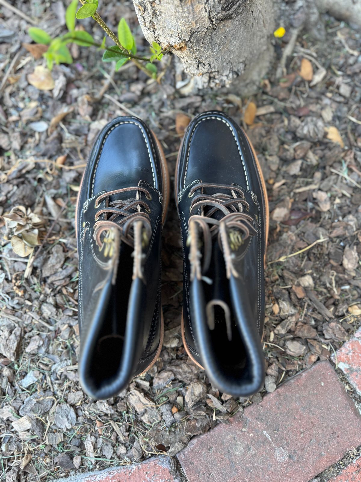 Photo by Armmmmm on October 5, 2025 of the Grant Stone Field Boot in Horween Black Chromexcel.