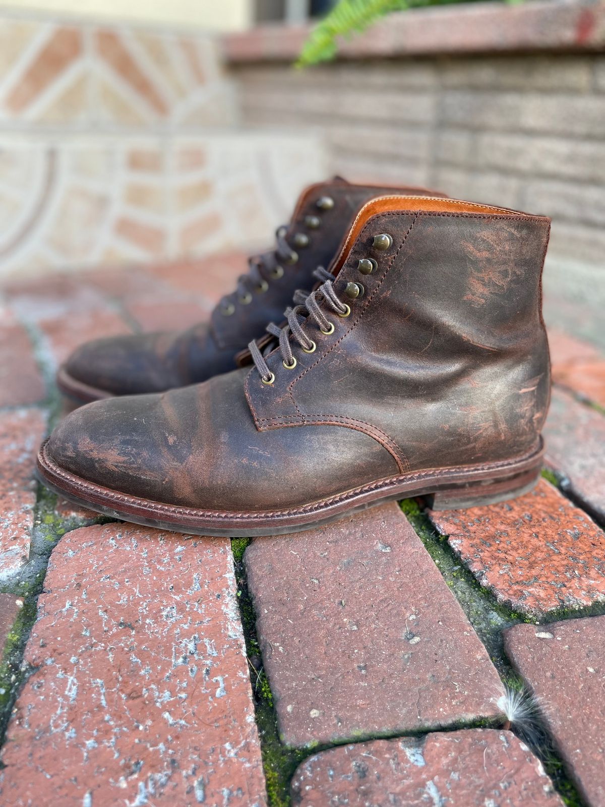 Photo by Armmmmm on December 5, 2022 of the Grant Stone Edward Boot in C.F. Stead Tobacco Waxy Commander Suede.