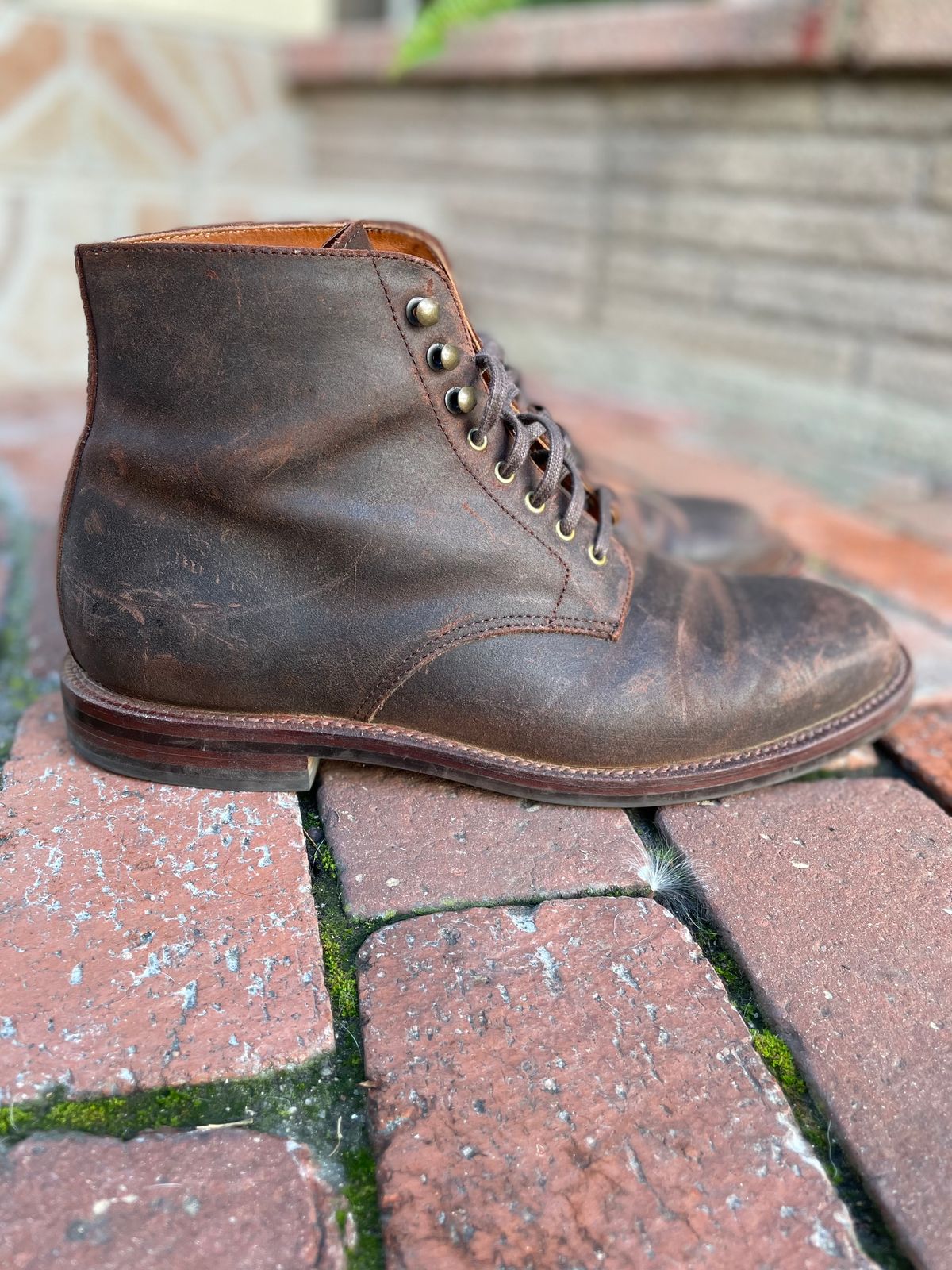 Photo by Armmmmm on December 5, 2022 of the Grant Stone Edward Boot in C.F. Stead Tobacco Waxy Commander Suede.