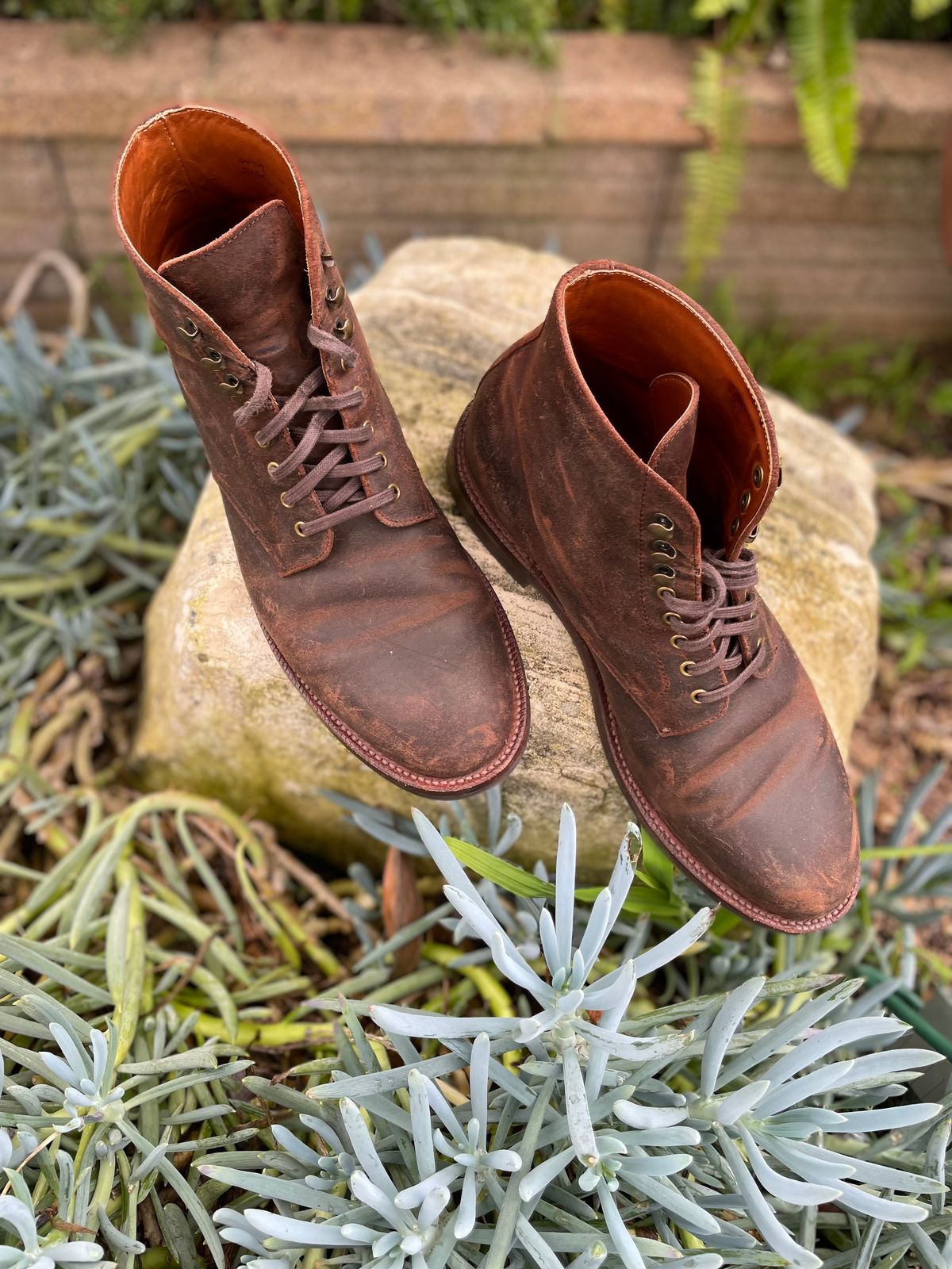 Photo by Armmmmm on February 5, 2023 of the Grant Stone Edward Boot in C.F. Stead Tobacco Waxy Commander Suede.
