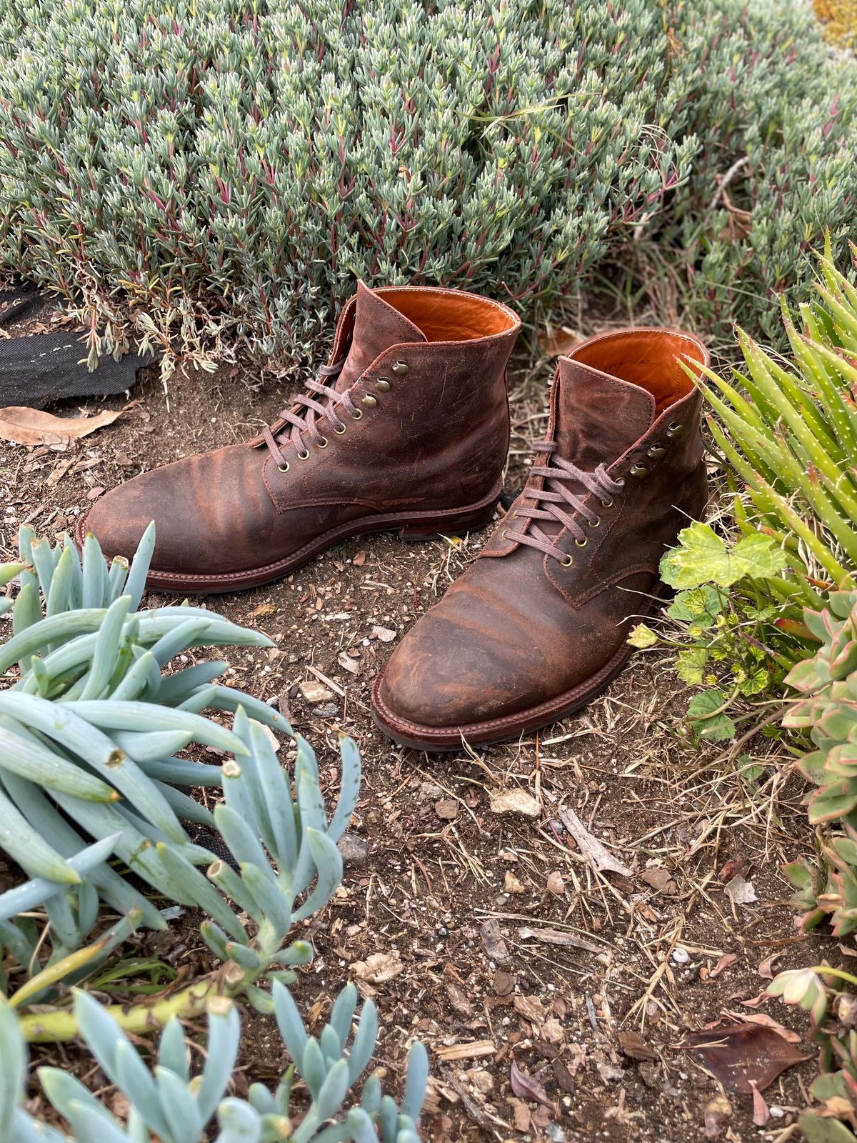 Photo by Armmmmm on March 5, 2023 of the Grant Stone Edward Boot in C.F. Stead Tobacco Waxy Commander Suede.