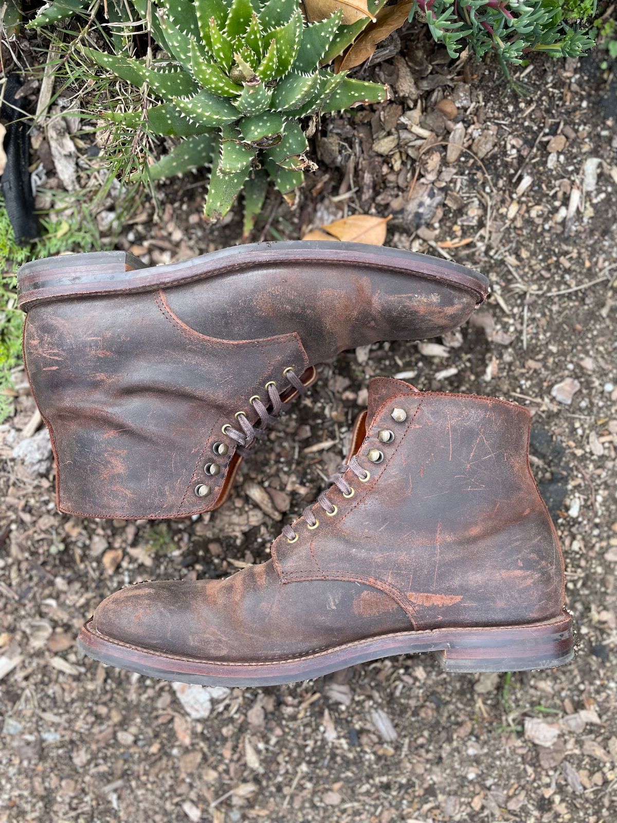 Photo by Armmmmm on March 5, 2023 of the Grant Stone Edward Boot in C.F. Stead Tobacco Waxy Commander Suede.