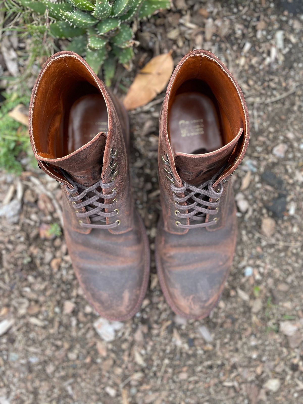 Photo by Armmmmm on March 5, 2023 of the Grant Stone Edward Boot in C.F. Stead Tobacco Waxy Commander Suede.