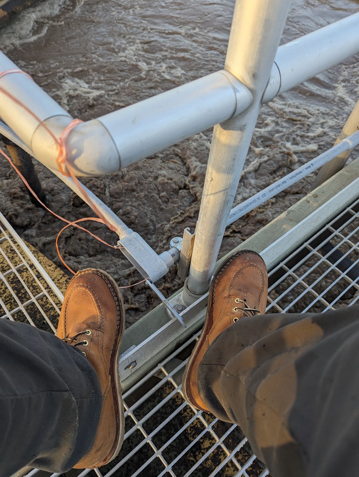 Photo by rotocheese on November 5, 2023 of the Nicks BuilderPro in Seidel 1964 Tan.