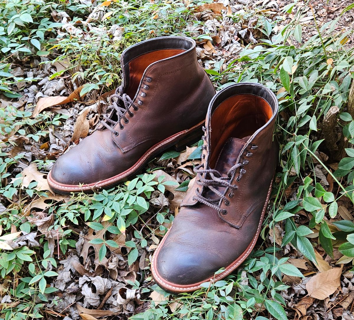 Photo by jj4483 on March 4, 2024 of the Alden Plain Toe Boot in Horween Tobacco Smooth Chamois.