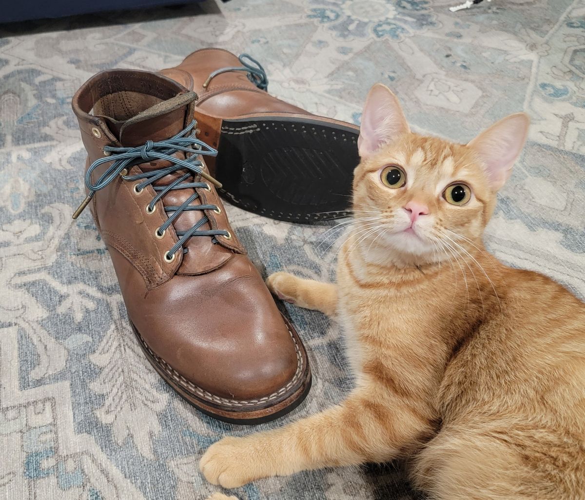 Photo by ShadyBoots on February 6, 2024 of the Nicks MTO in Horween Natural Chromexcel.