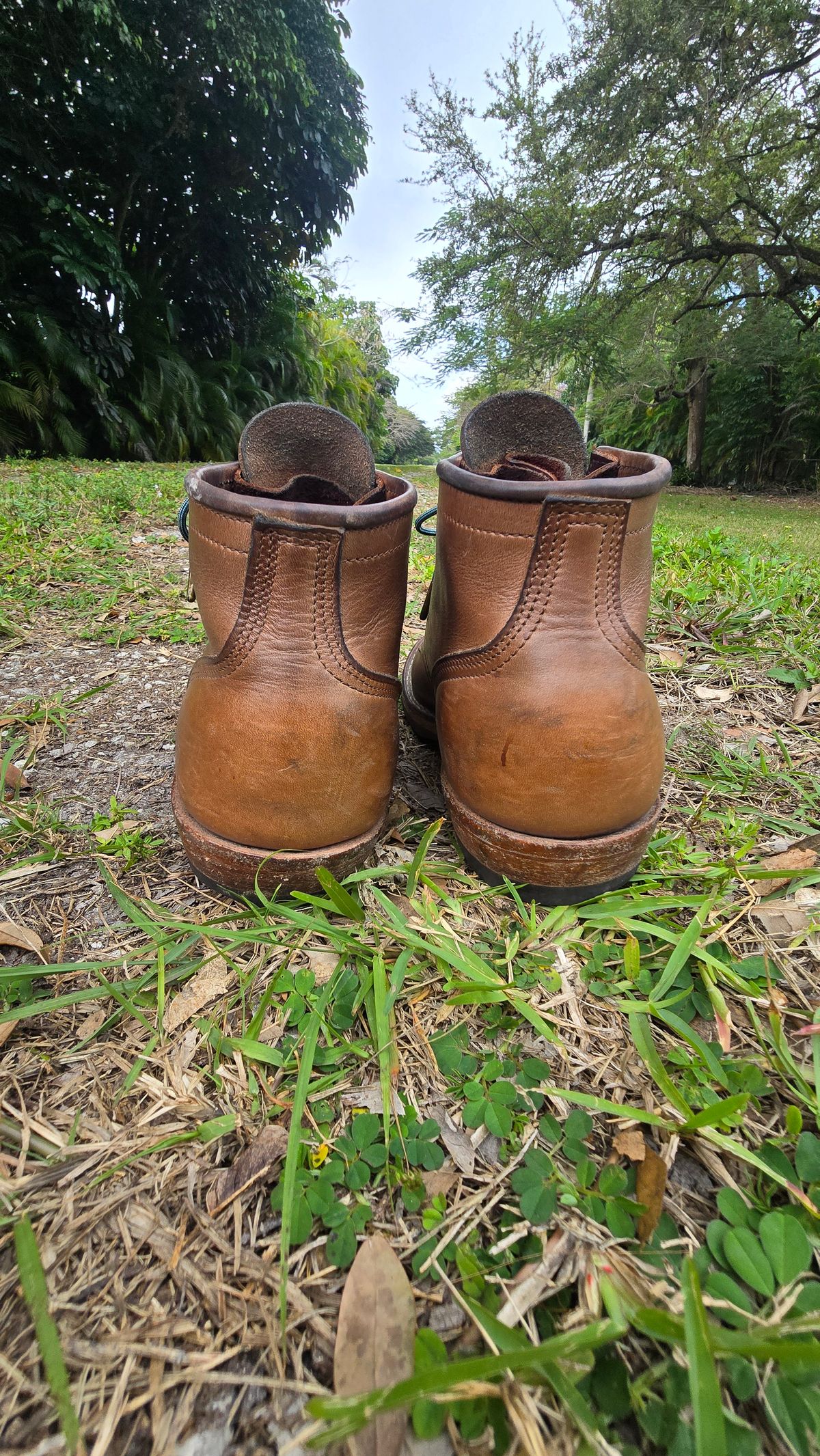 Photo by ShadyBoots on March 3, 2024 of the Nicks MTO in Horween Natural Chromexcel.